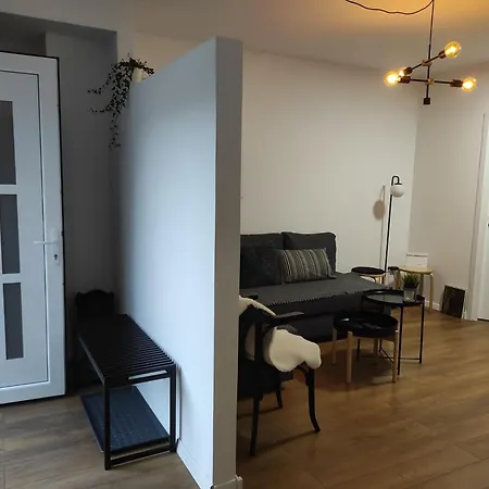 Villa House In Center Of Gospic With Big Garden Habitación foto