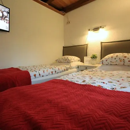 Villa House In Center Of Gospic With Big Garden Exterior foto