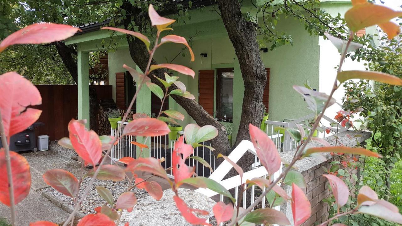 House In Center Of With Big Garden